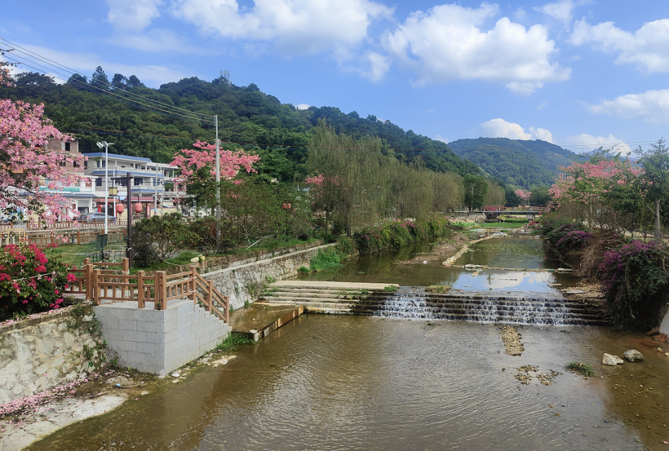 wnsr威尼斯(中国)股份有限公司