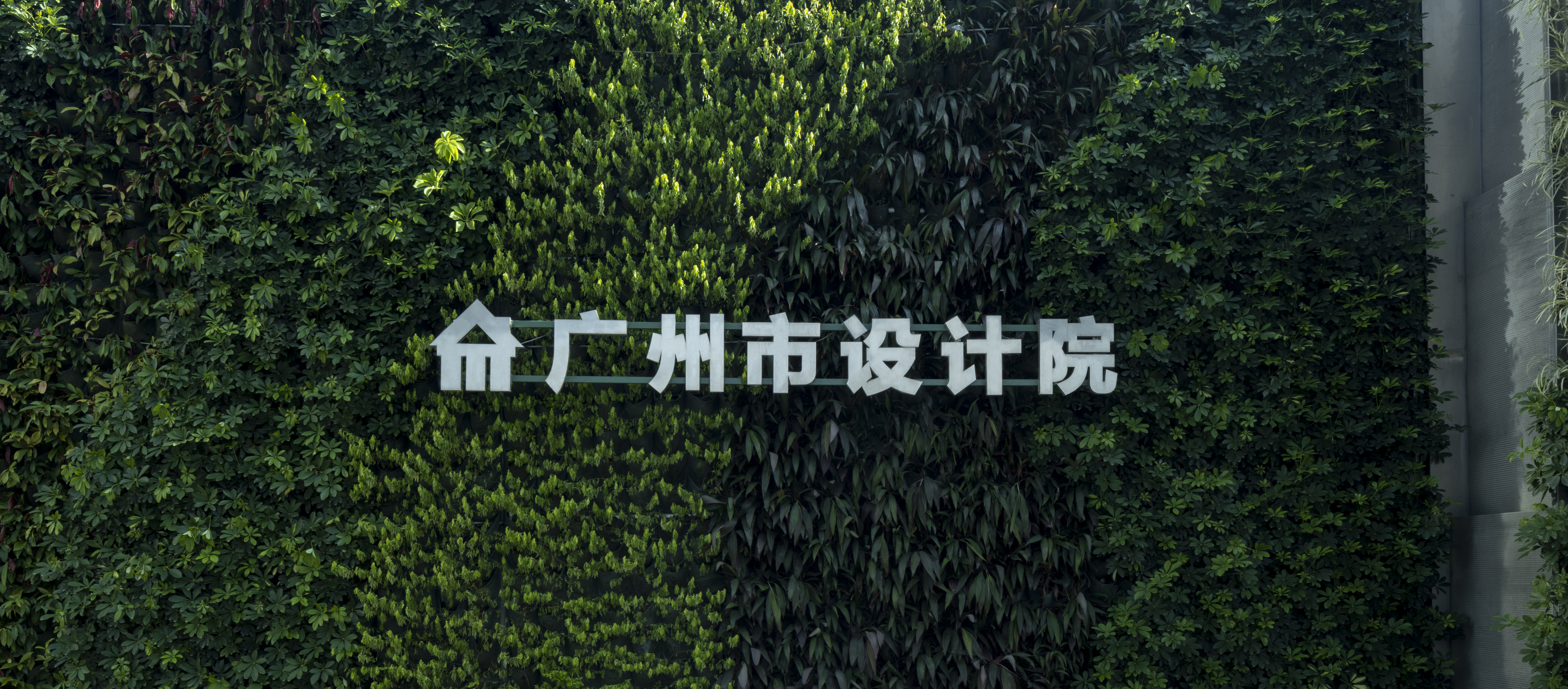 wnsr威尼斯(中国)股份有限公司