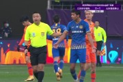  法甲裁判争议判罚引发球迷集体抗议  